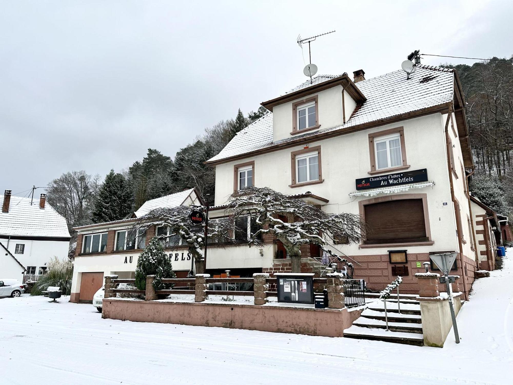 Au Wachtfels Bed & Breakfast Obersteinbach Exterior photo